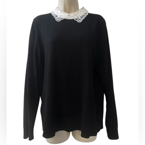 Cable & Gauge Women’s L Black Sweater with Sheer Embroidered Peter Pan Collar - Picture 1 of 12